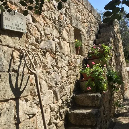 Holiday home La Pajara De La Urpe